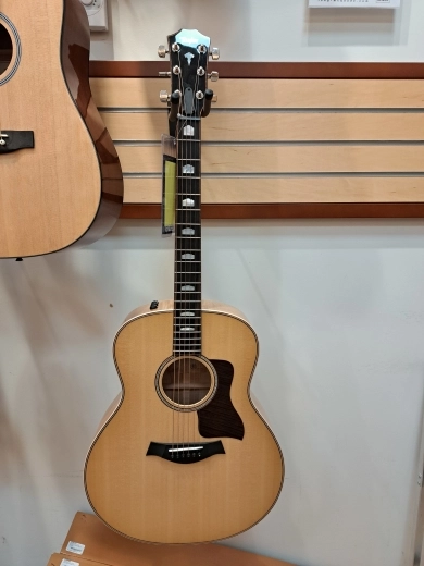Taylor Guitars - 618E